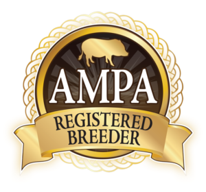 AMPA Registered Breeder