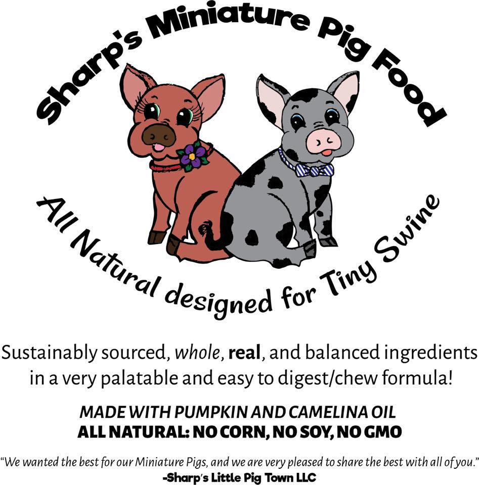 Feeding Your Mini Pig Recommended Healthy Diet - Charming ...